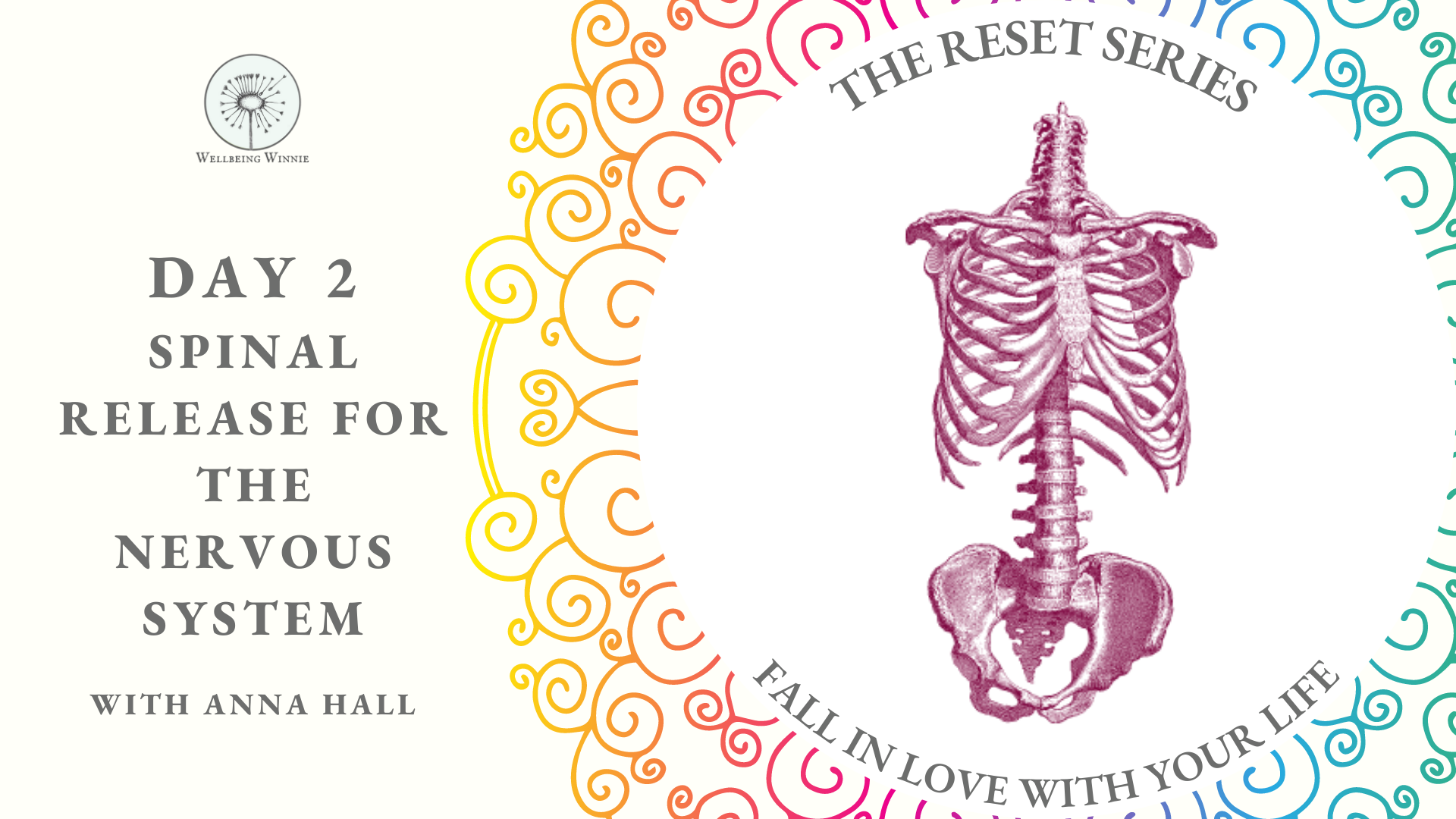 Spinal Release For The Nervous System