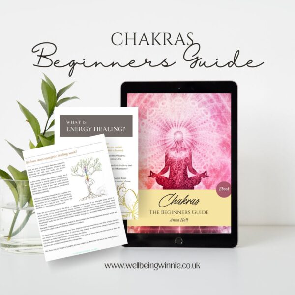 Chakras: The Beginners Guide. In English or Italian