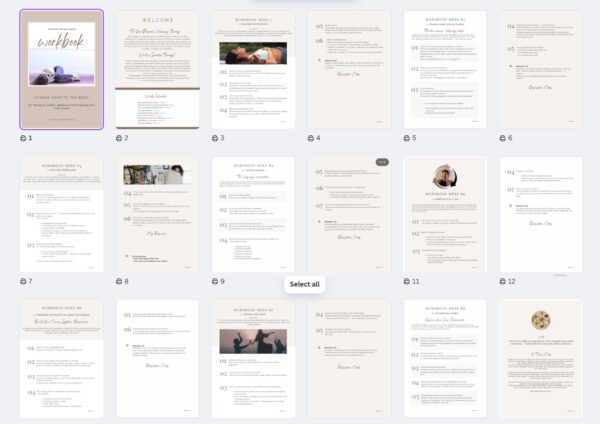 Somatic Therapy Support Workbook - Image 2
